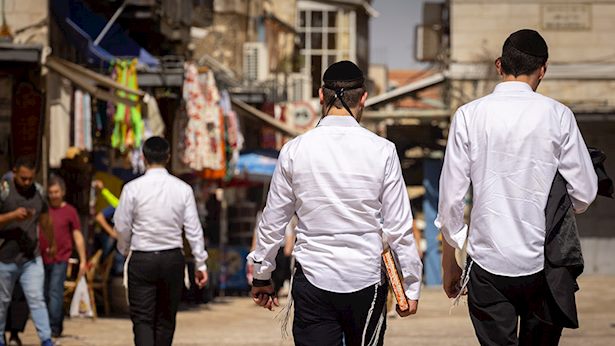 המגזר החרדי
